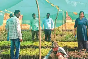 8 lakh saplings to be planted in Peddapalli