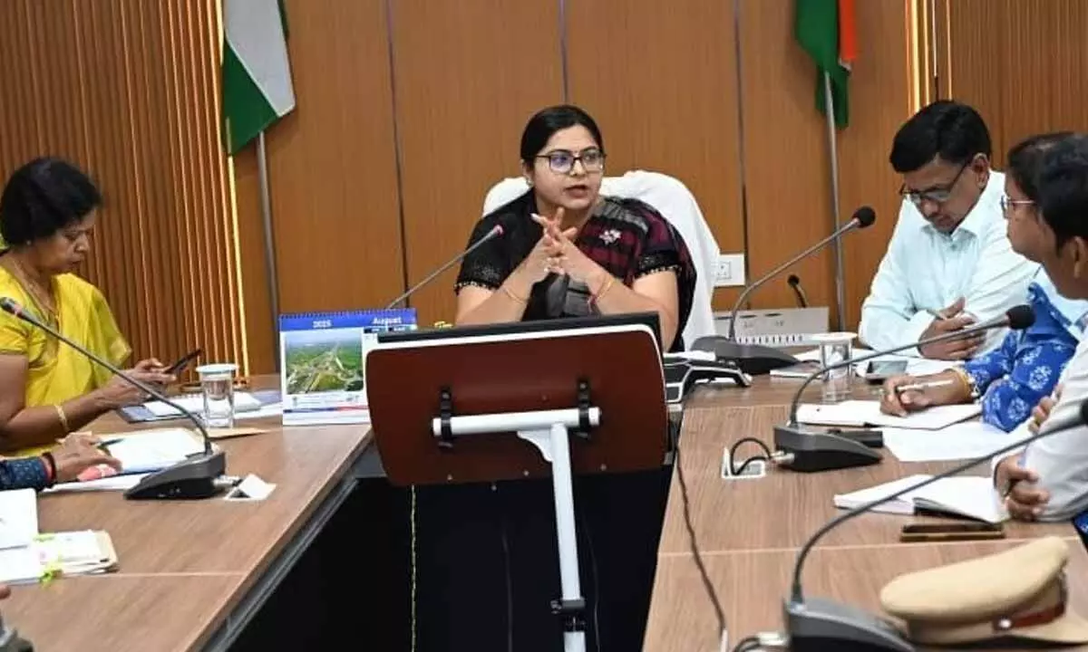 Collector Abhilasha urges action for forest area development