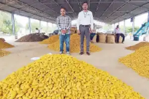 Experts visit fields to get GI tag for Armoor Turmeric