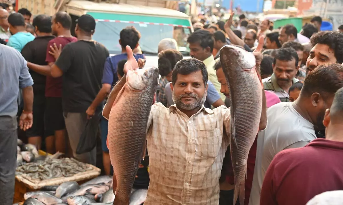 Fish buyers crowd markets on Mrigasira Karte