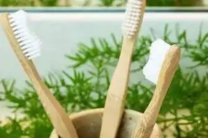 Hyderabad promotes bamboo toothbrushes