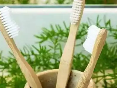 Hyderabad promotes bamboo toothbrushes