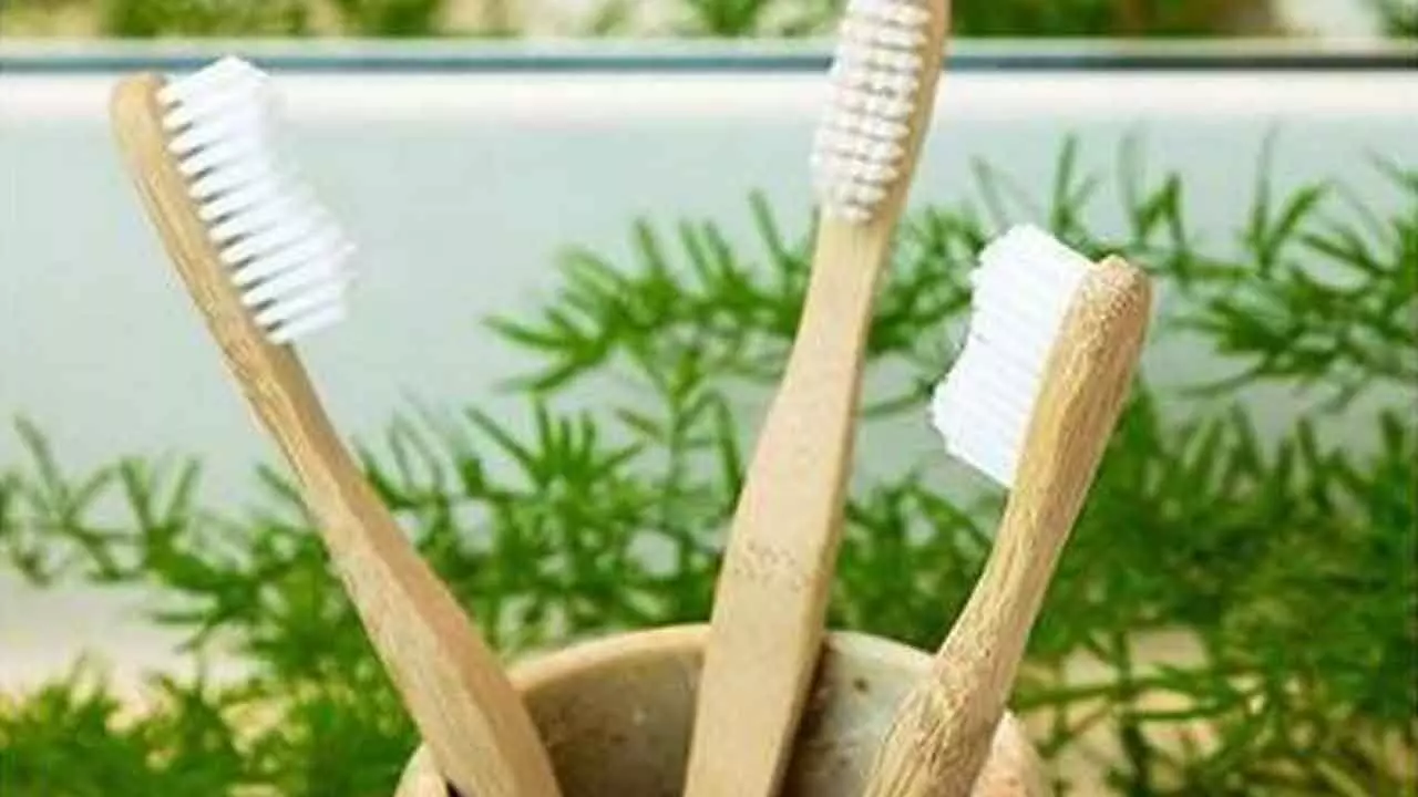 Hyderabad promotes bamboo toothbrushes