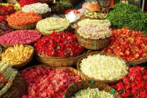 Aziznagar in Moinabad Set to Become Hub for Hyderabad’s New Integrated Vegetable, Fruit, and Flower Market