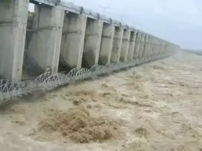 PJP Dam Sees Large Water Inflow, Power Generation at Peak with 34,772 Cusecs Released