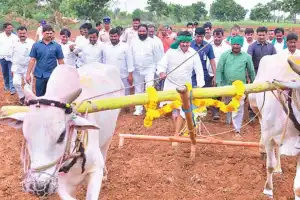 Ponguleti ploughs field and gives erukava greetings