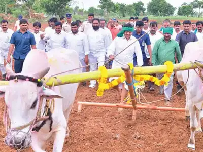 Ponguleti ploughs field and gives erukava greetings