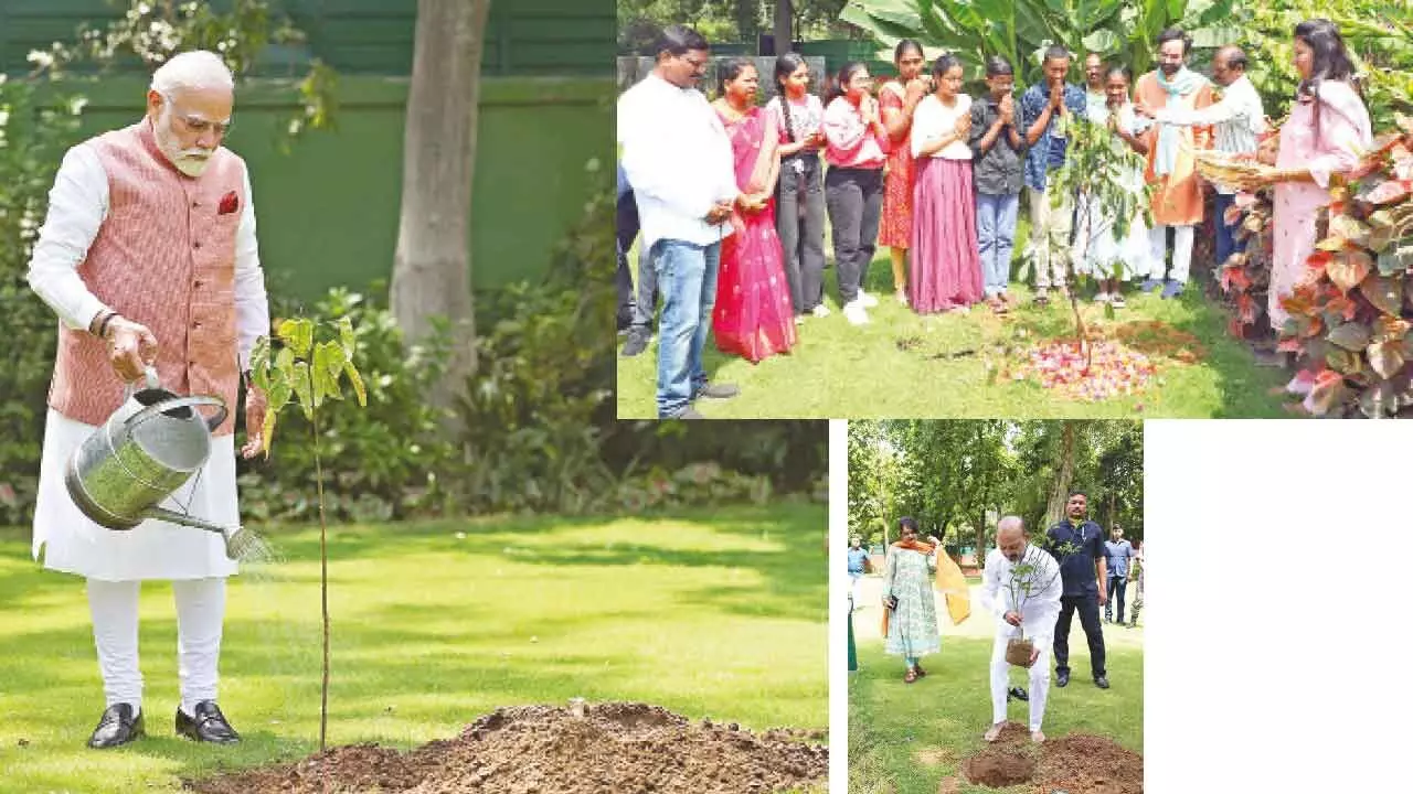 Prime Minister, Ministers, and Students Plant Trees