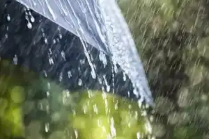 Rain and strong winds forecast for Andhra Pradesh and Telangana