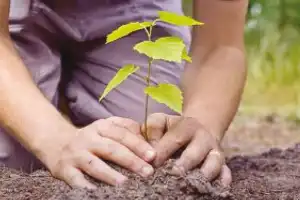 Telangana government plans to make the state greener