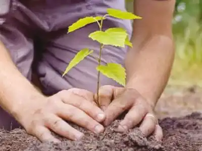 Telangana government plans to make the state greener