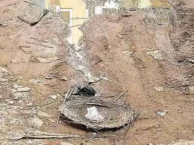 Tolichowki residents frustrated by dug-up roads
