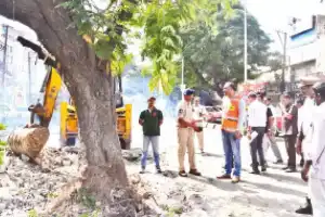 Traffic police move tree to reduce congestion