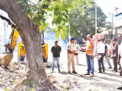 Traffic police move tree to reduce congestion