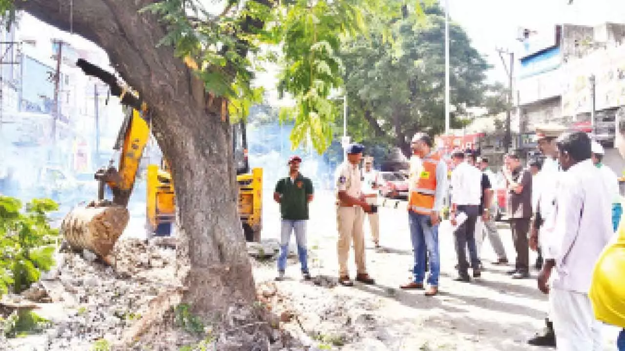 Traffic police move tree to reduce congestion