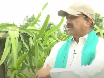 Tummala Nageshwar Rao promises to implement Rythu Bharosa