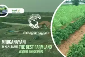 Why Investing in Hyderabad Farmland is Growing Popular