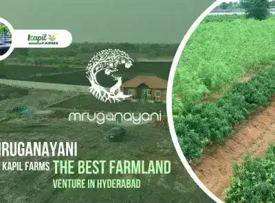 Why Investing in Hyderabad Farmland is Growing Popular