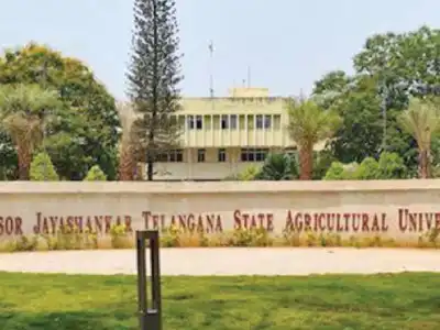 Chief Minister to launch tree festival at PJTAU today