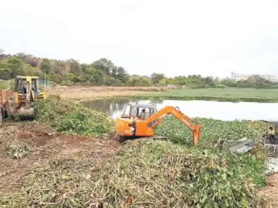 City launches special cleanup to remove waste from water bodies