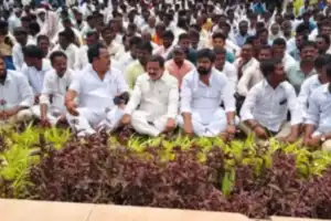 District Ensures Cotton Seeds Are Bought, Collector Seeks Written Promise from Companies