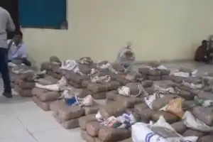 EAGLE arrests 3 people, seizes 935 kg of cannabis worth Rs 5 crore