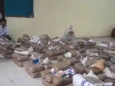 EAGLE arrests 3 people, seizes 935 kg of cannabis worth Rs 5 crore