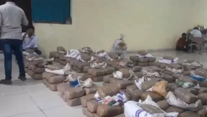 EAGLE arrests 3 people, seizes 935 kg of cannabis worth Rs 5 crore