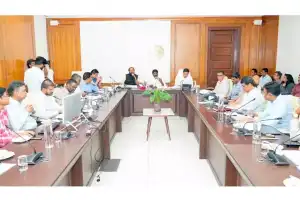 Form local price committees: Bhatti tells officials
