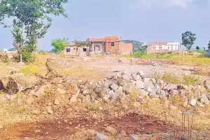 Government land invasions increasing