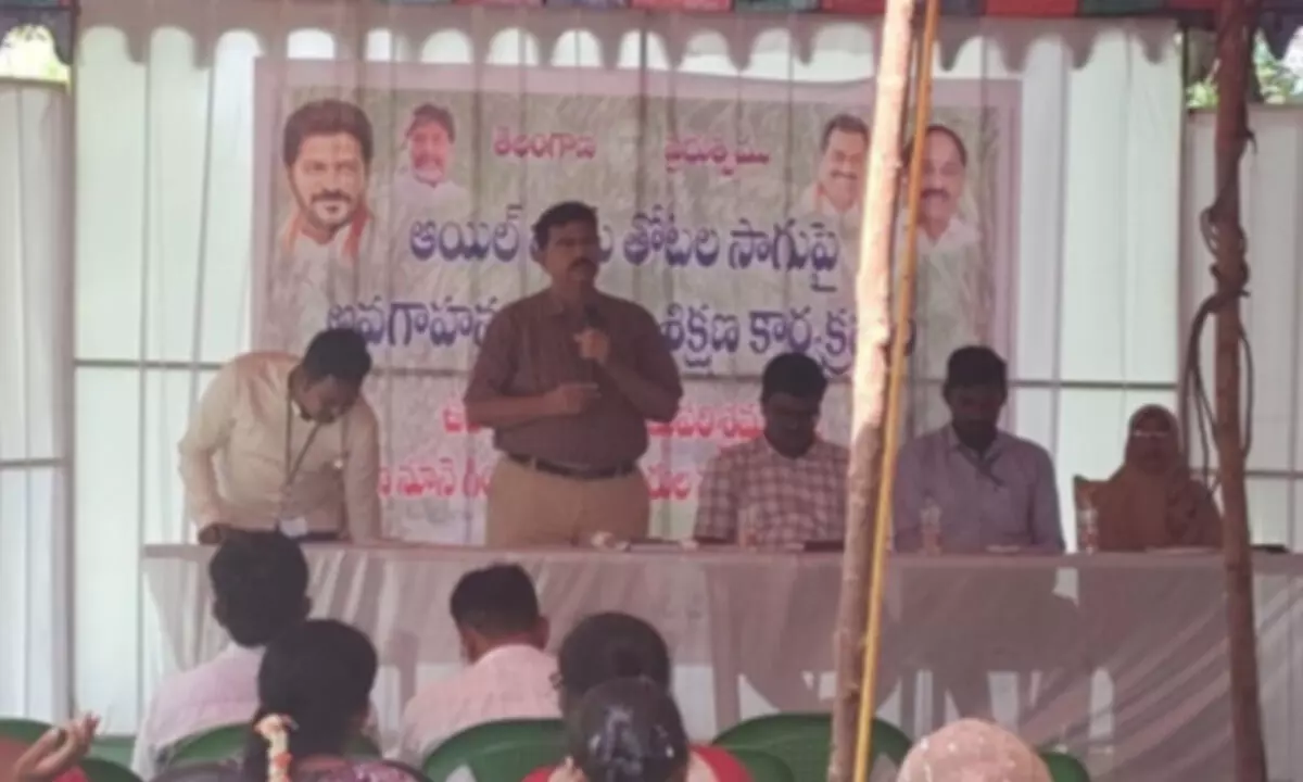 Government Promotes Oil Palm Farming for Prosperity in Beechupalli