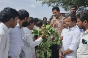 Huge Protest in Bingidoddi Jogulamba Gadwal as Cotton Farmers Demand Fair Treatment