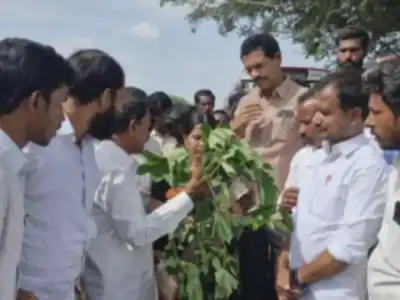 Huge Protest in Bingidoddi Jogulamba Gadwal as Cotton Farmers Demand Fair Treatment