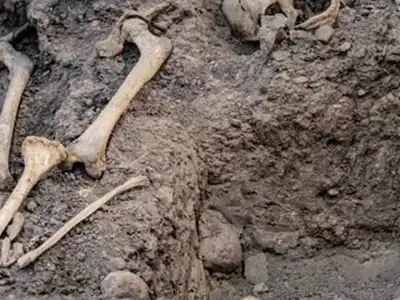 Human bones found after 7 years; police start investigation
