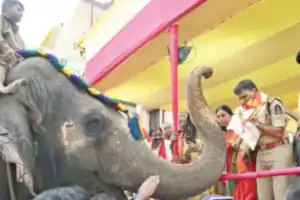 Hyderabad police chief starts big Bonalu parade