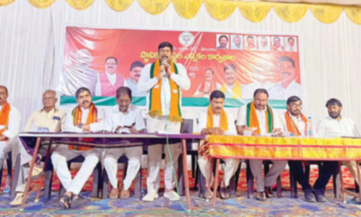 Make every village a BJP stronghold: party leader