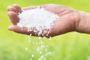 Nadda concerned about increasing urea demand in TG