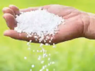 Nadda concerned about increasing urea demand in TG