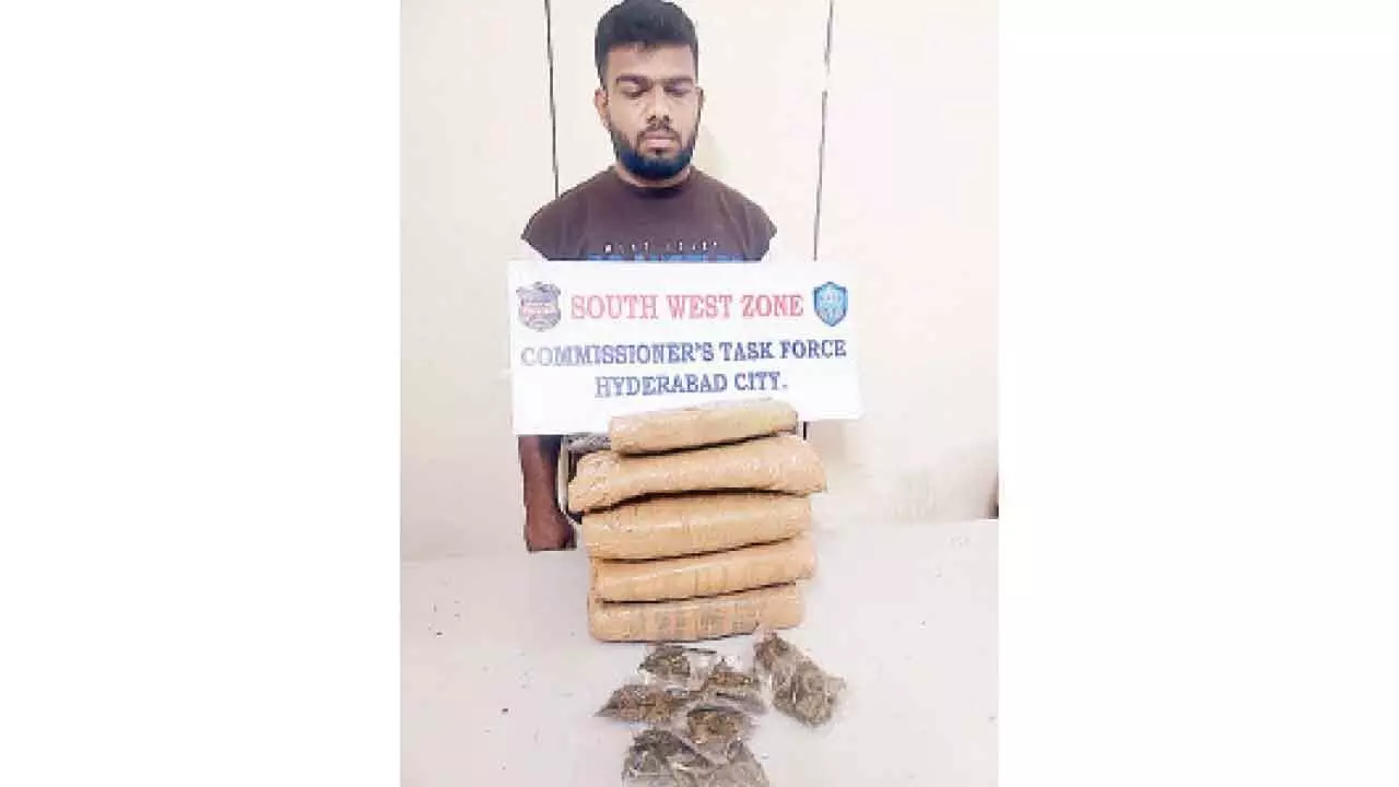 Police arrest drug dealer, seize marijuana worth Rs 1.86 lakh