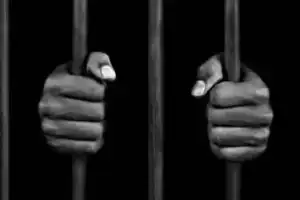Police request custody in surrogacy scam investigation