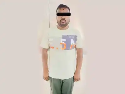 Police uncover major film piracy operation