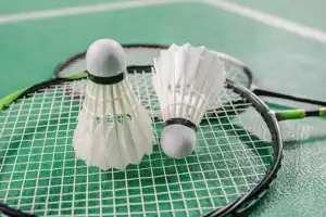 Powergrid SR-I organizes 2025 inter-regional badminton tournament