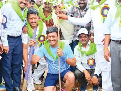 Singareni CMD plants 500 trees for Van Mahotsav event