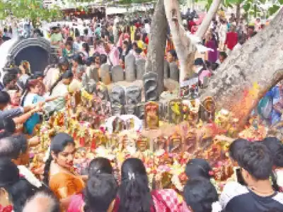 Thousands visit temples to pray to serpent gods