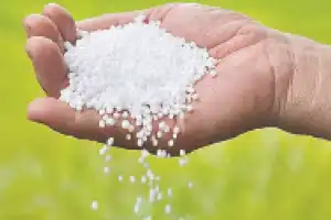 Tummala urges government to increase urea supplies during shortage