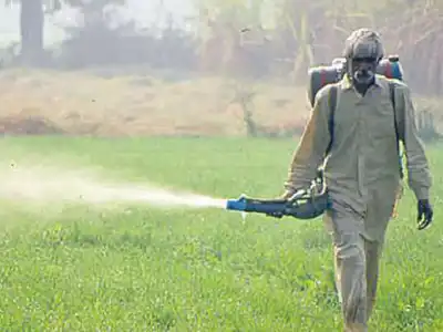 Blaming each other for urea shortage
