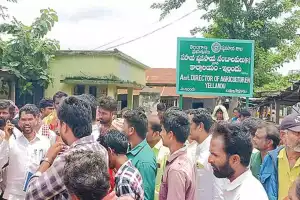 Farmers face severe urea shortage in Bhadradri