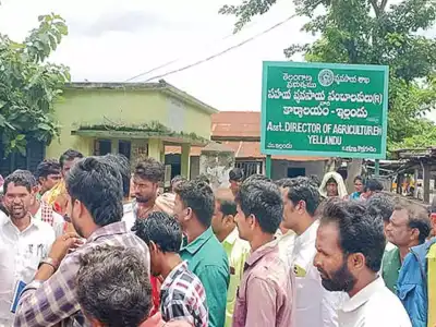 Farmers face severe urea shortage in Bhadradri