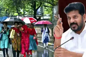 Five districts in Telangana close schools due to heavy rains
