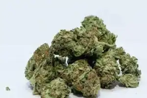 Gadwal Police Arrest Three with 1.6 Kg of Ganja, Break Supply Network